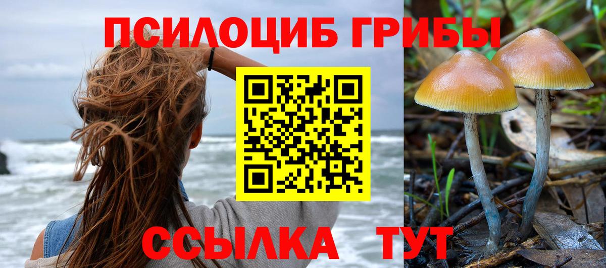 Псилоцибиновые грибы мухоморы Павлово