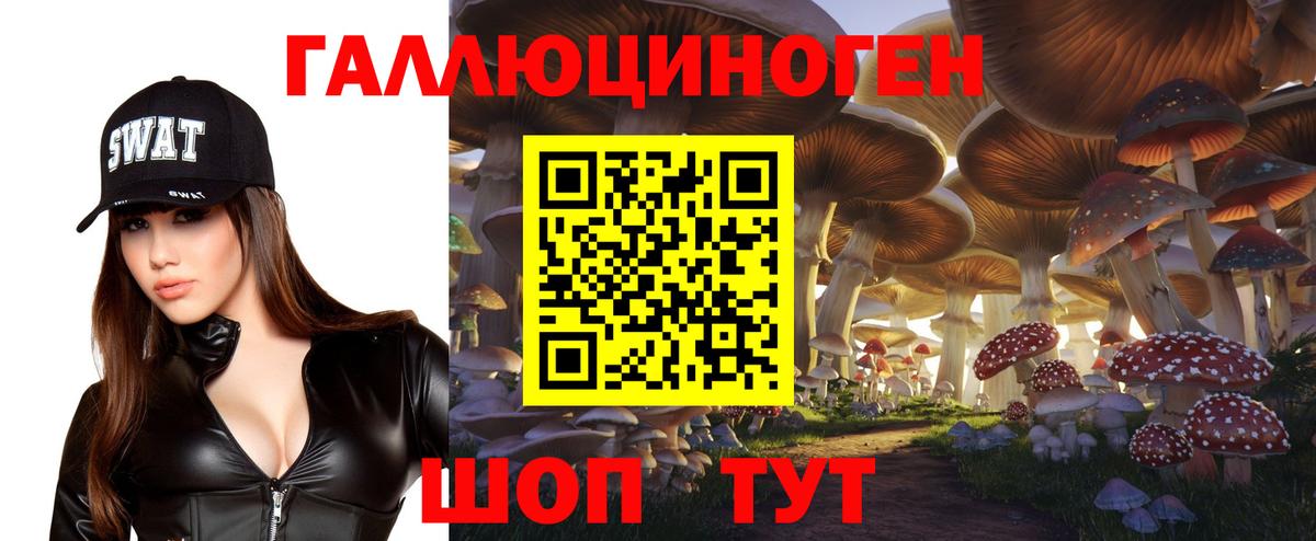 купить наркотик  Вход с VPN  Псилоцибиновые грибы Psilocybine cubensis  Павлово  Галлюциногенные грибы прущие грибы 